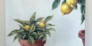 Αιμιλία Βλαχογιάννη: Ο ρυθμός του κόσμου