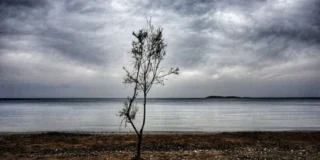 Βάλτερ Πούχνερ: Σκέψεις μικρές για θέματα μεγάλα