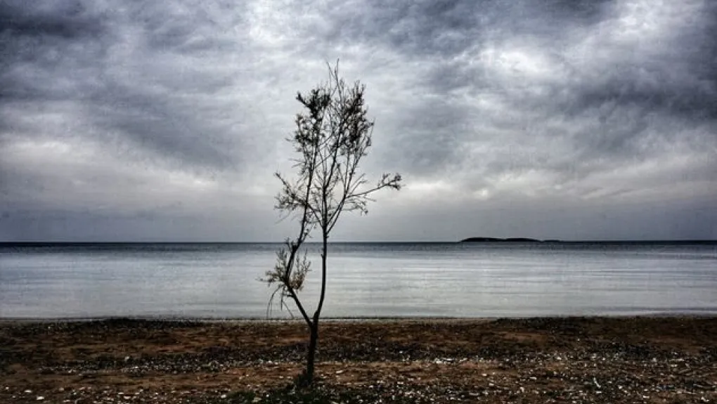 You are currently viewing Βάλτερ Πούχνερ: Σκέψεις μικρές για θέματα μεγάλα