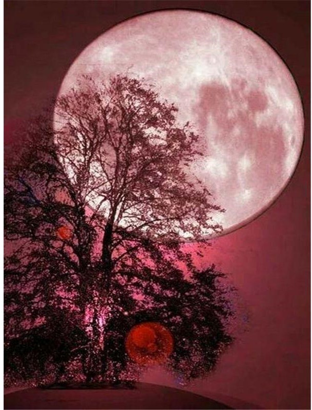 You are currently viewing Λένη Ζάχαρη: Πανσέληνος