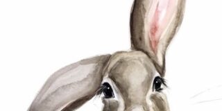 Παυλίνα Παμπούδη: Ο Λαγός κι ο Κυνηγός