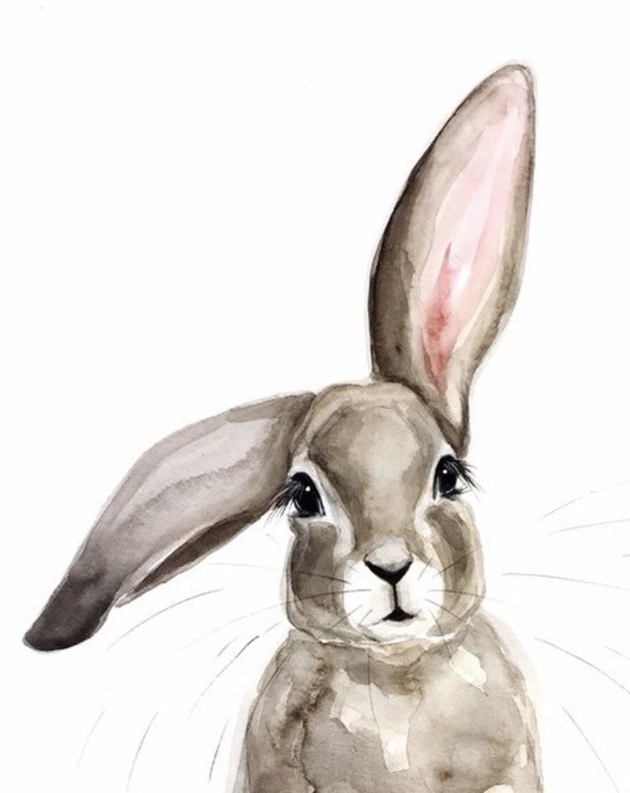 You are currently viewing Παυλίνα Παμπούδη: Ο Λαγός κι ο Κυνηγός